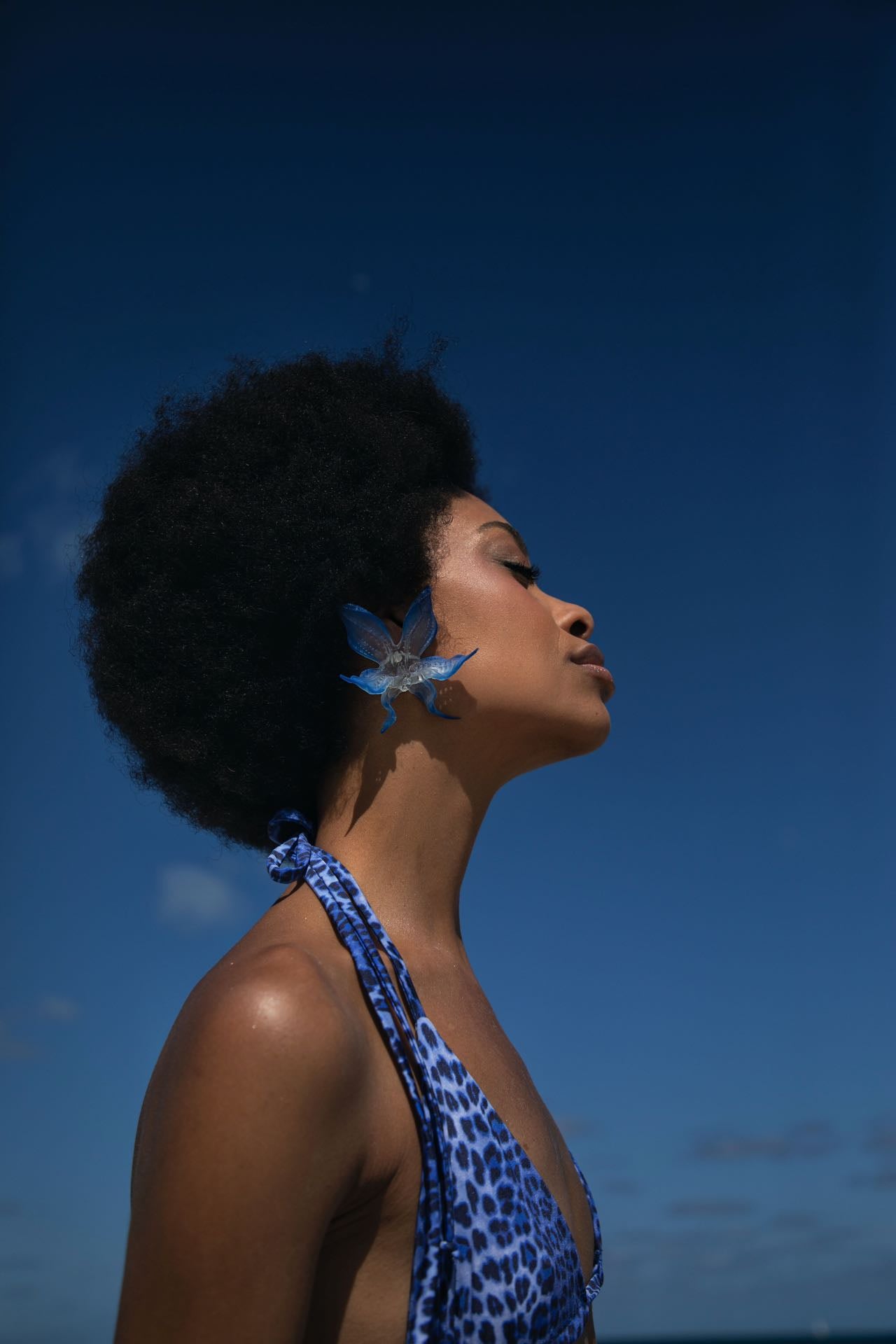 Electric Orchid Earrings