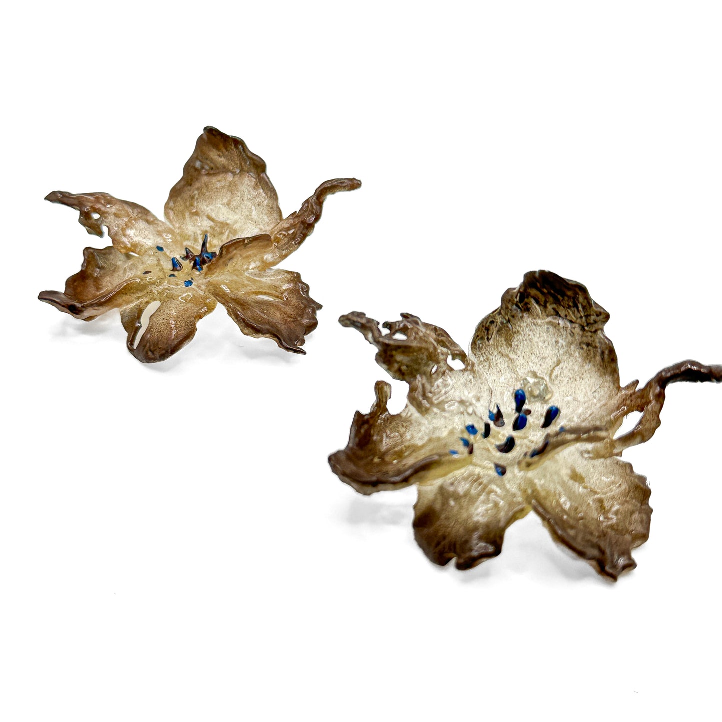 Regular Daffodils Earrings - Brown Edge/ Blue