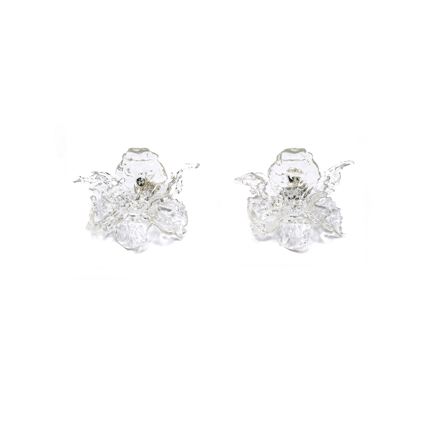 Regular Daffodils Earrings - Transparent