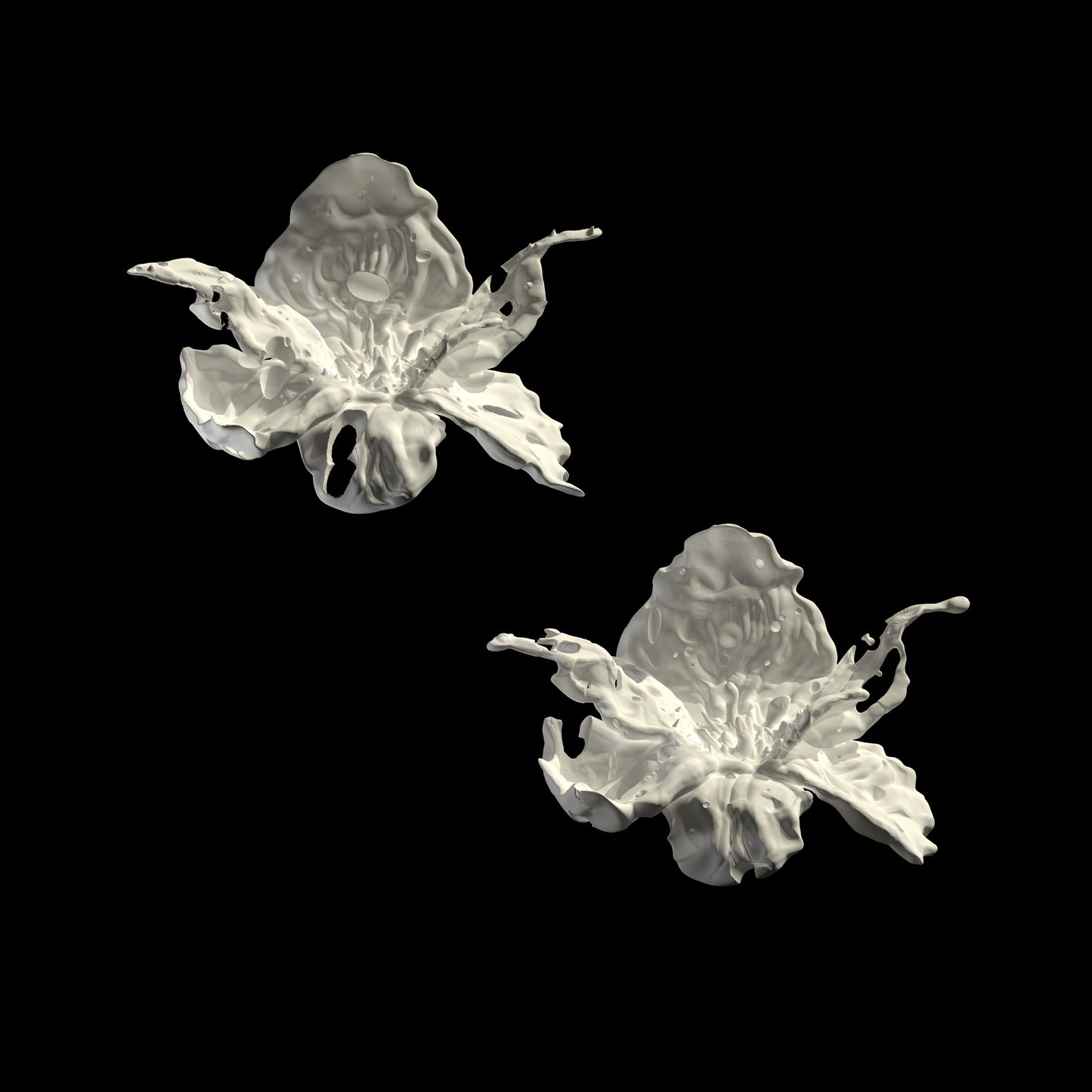 Regular Daffodils Blossom Earrings - White