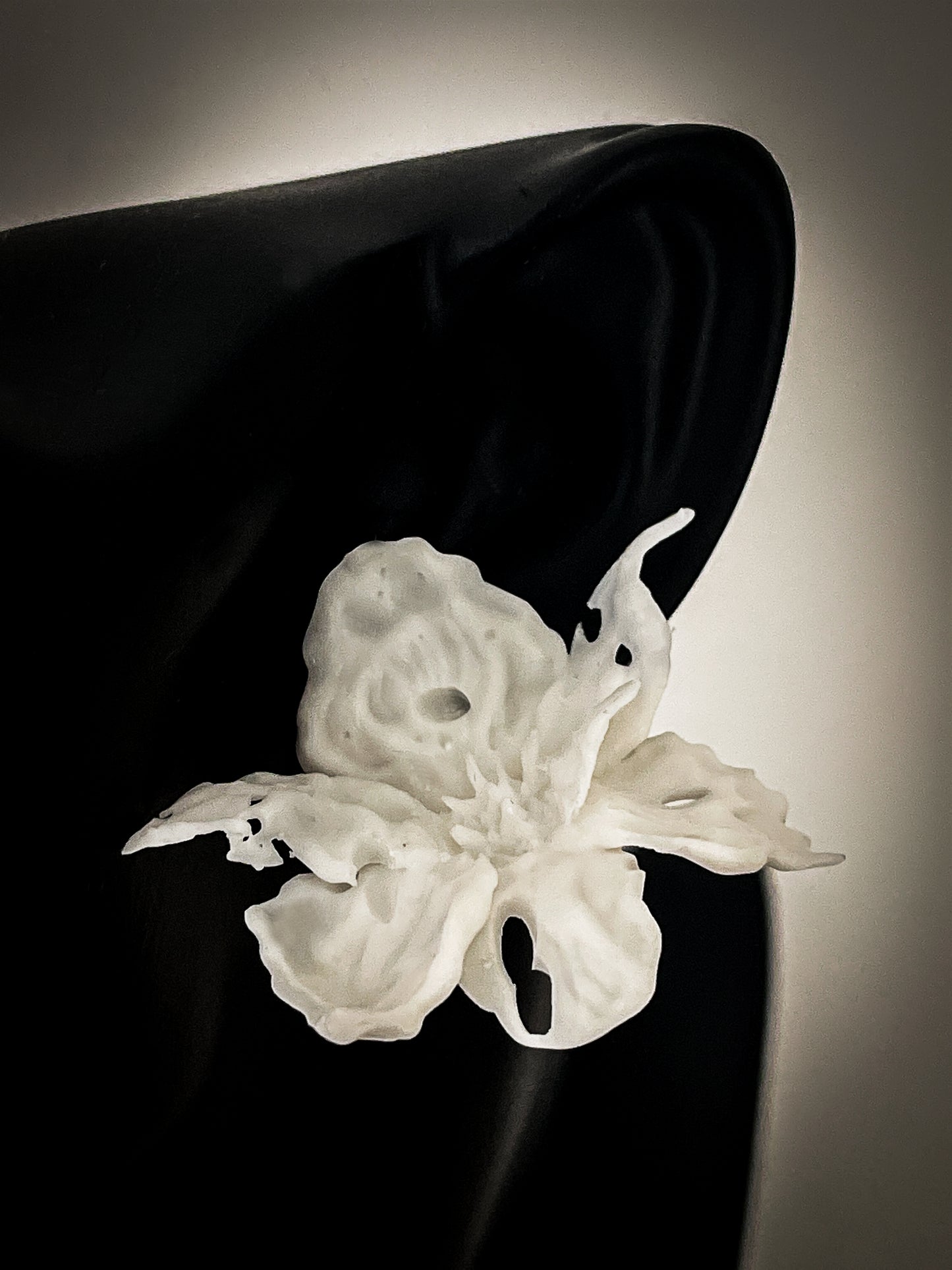 Regular Daffodils Blossom Earrings - White