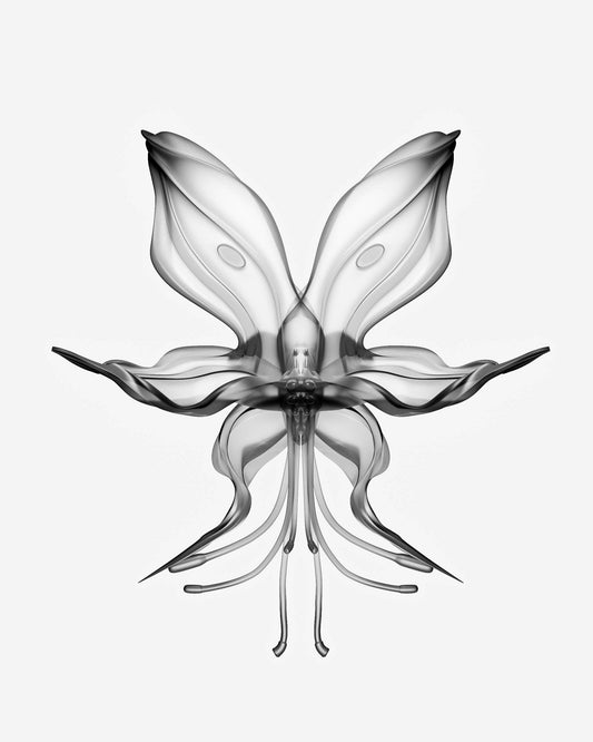 Digital Campaign x Sync Studio