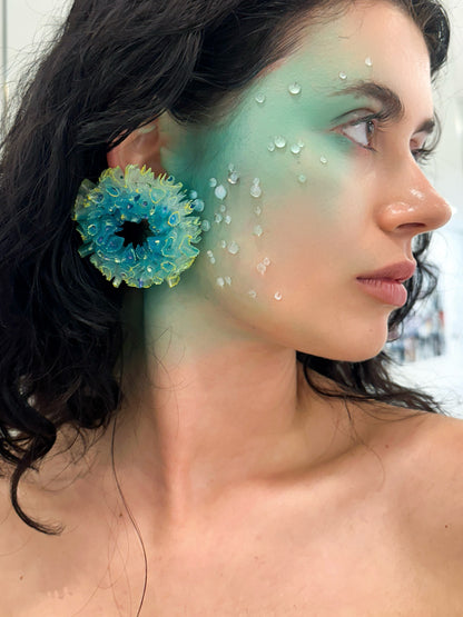 Coral Hydrangea Peacock Reef - Limited Edition