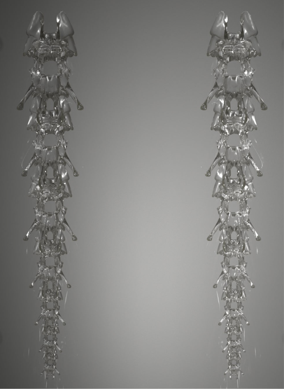 Oceanspine Petals Earrings - Clear