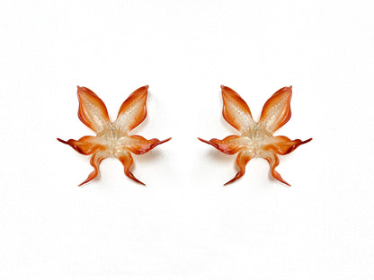 Burnt Sunset Orchid Earrings