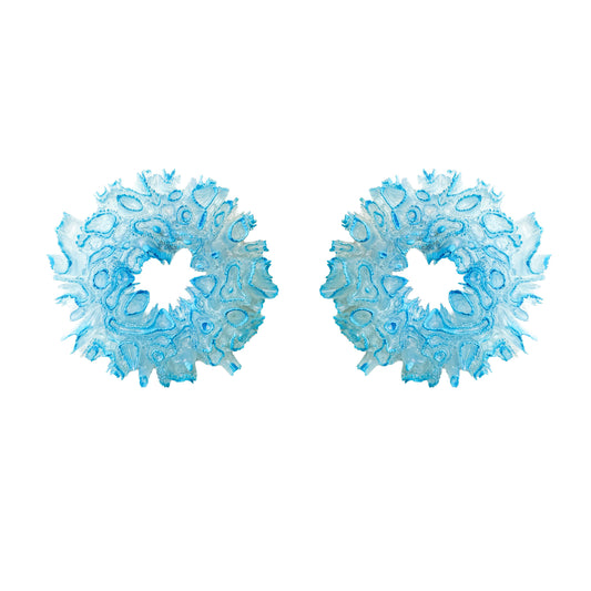 Coral Hydrangea - Glacial Mist