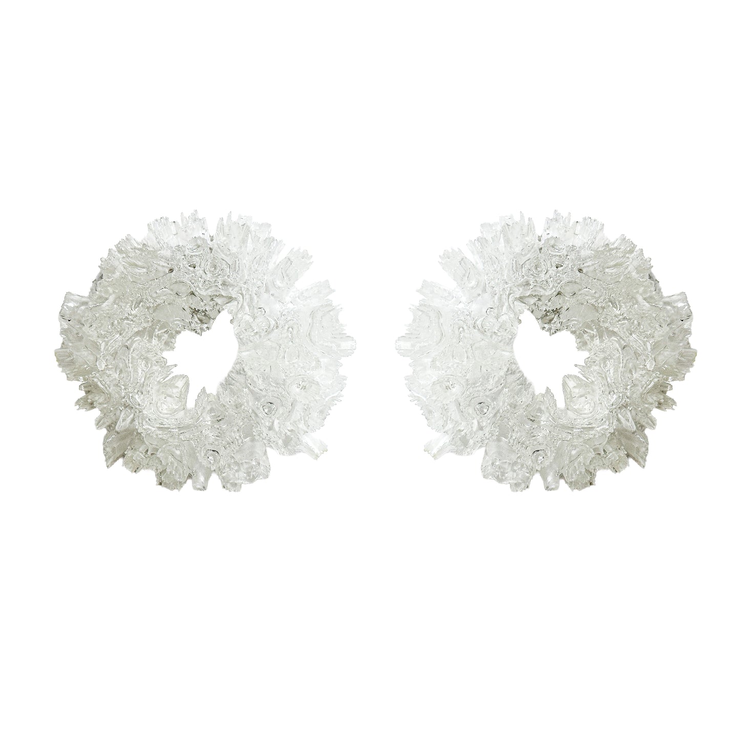 Coral Hydrangea - Clear