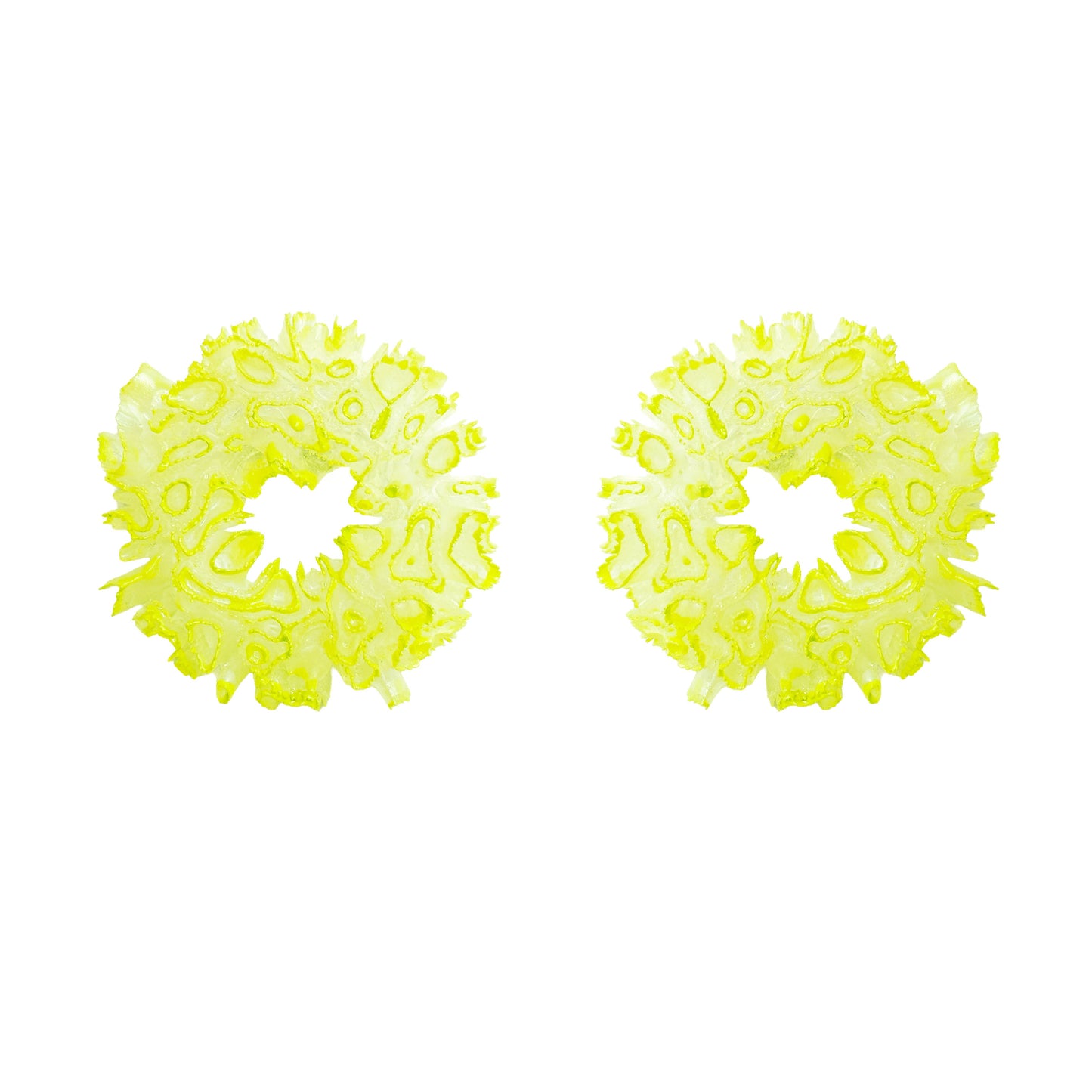 Coral Hydrangea - Lime Candy