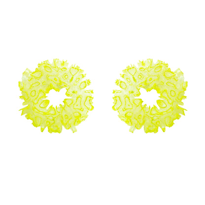 Coral Hydrangea - Lime Candy