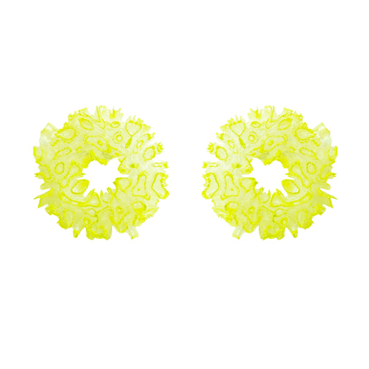 Coral Hydrangea - Lime Candy