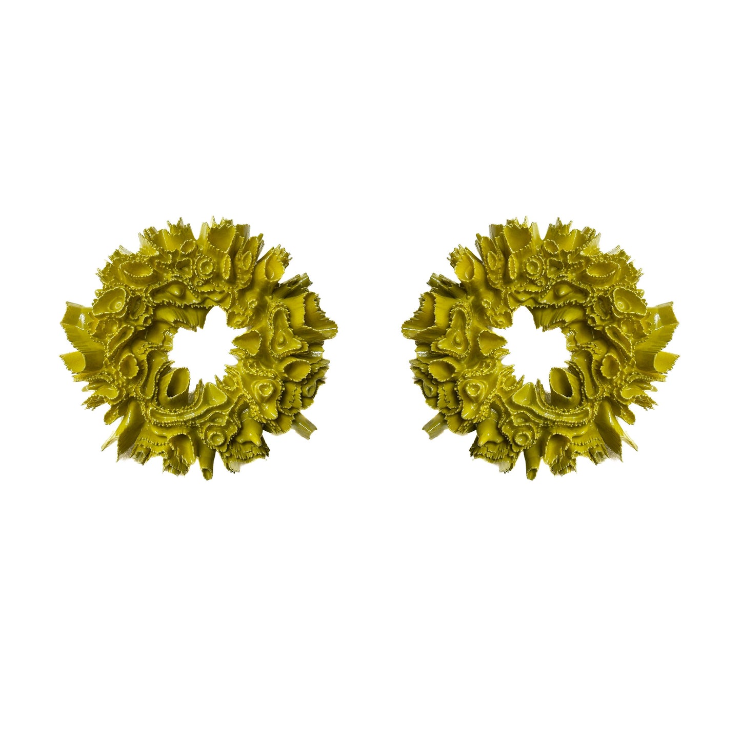 Coral Hydrangea - Olive