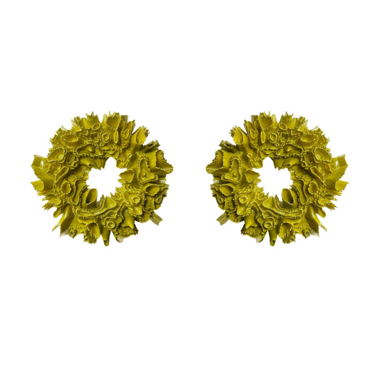 Coral Hydrangea - Olive