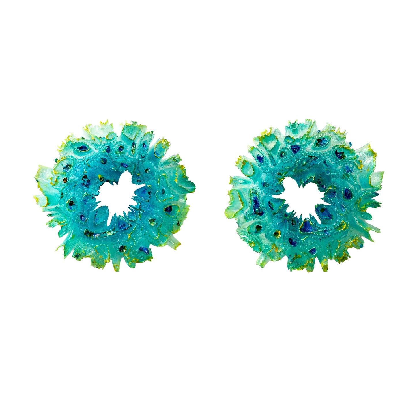 Coral Hydrangea Peacock Reef - Limited Edition