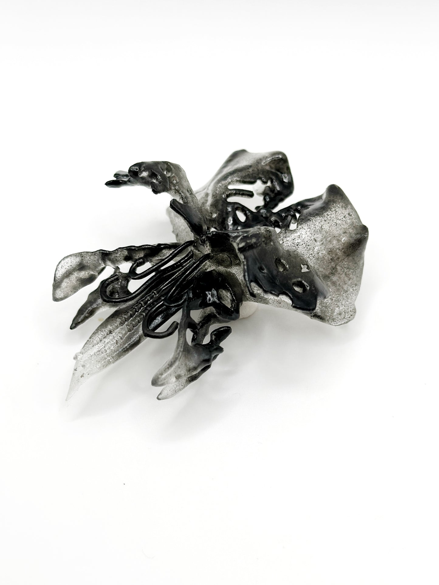 Dasha Rebirth Brooch - Black