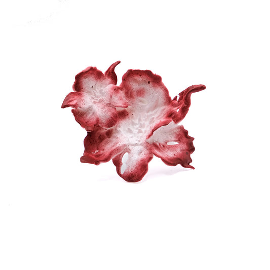 Daffodil Duo Flower Ring - Red Edge