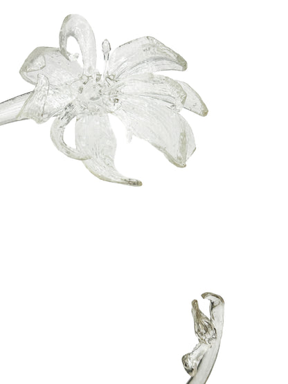 Clear Shy Gloriosa Choker