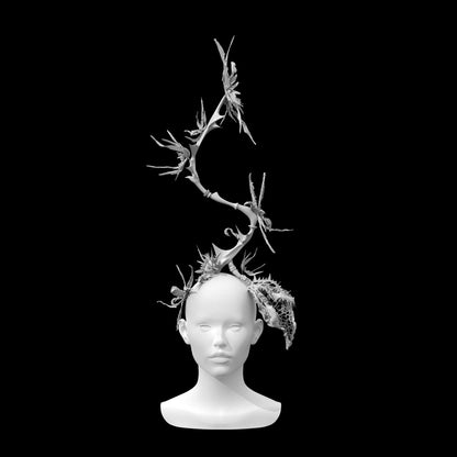 First Emergence Headpiece