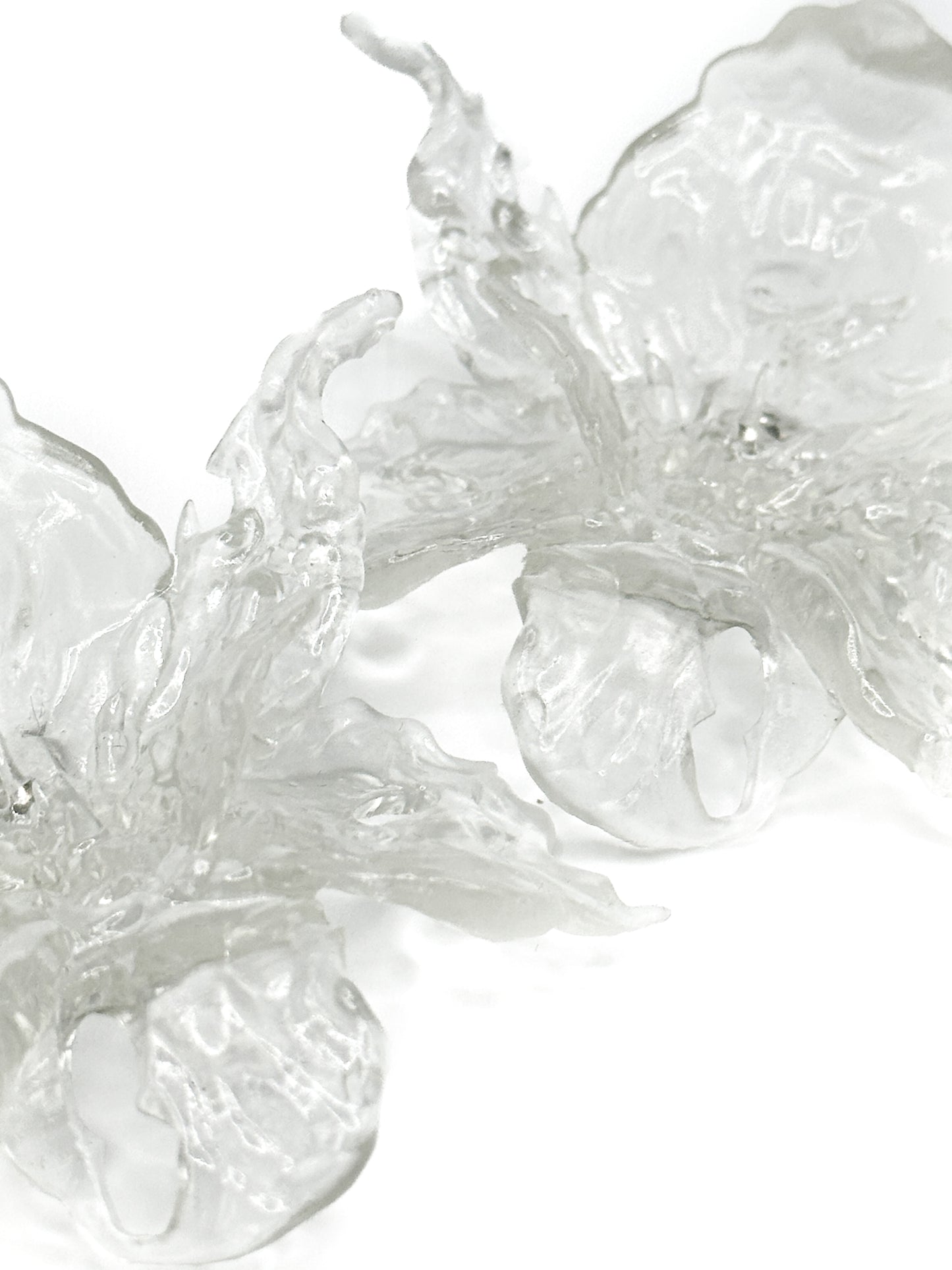 Clear Blossom Mega Flower Daffodils Earrings