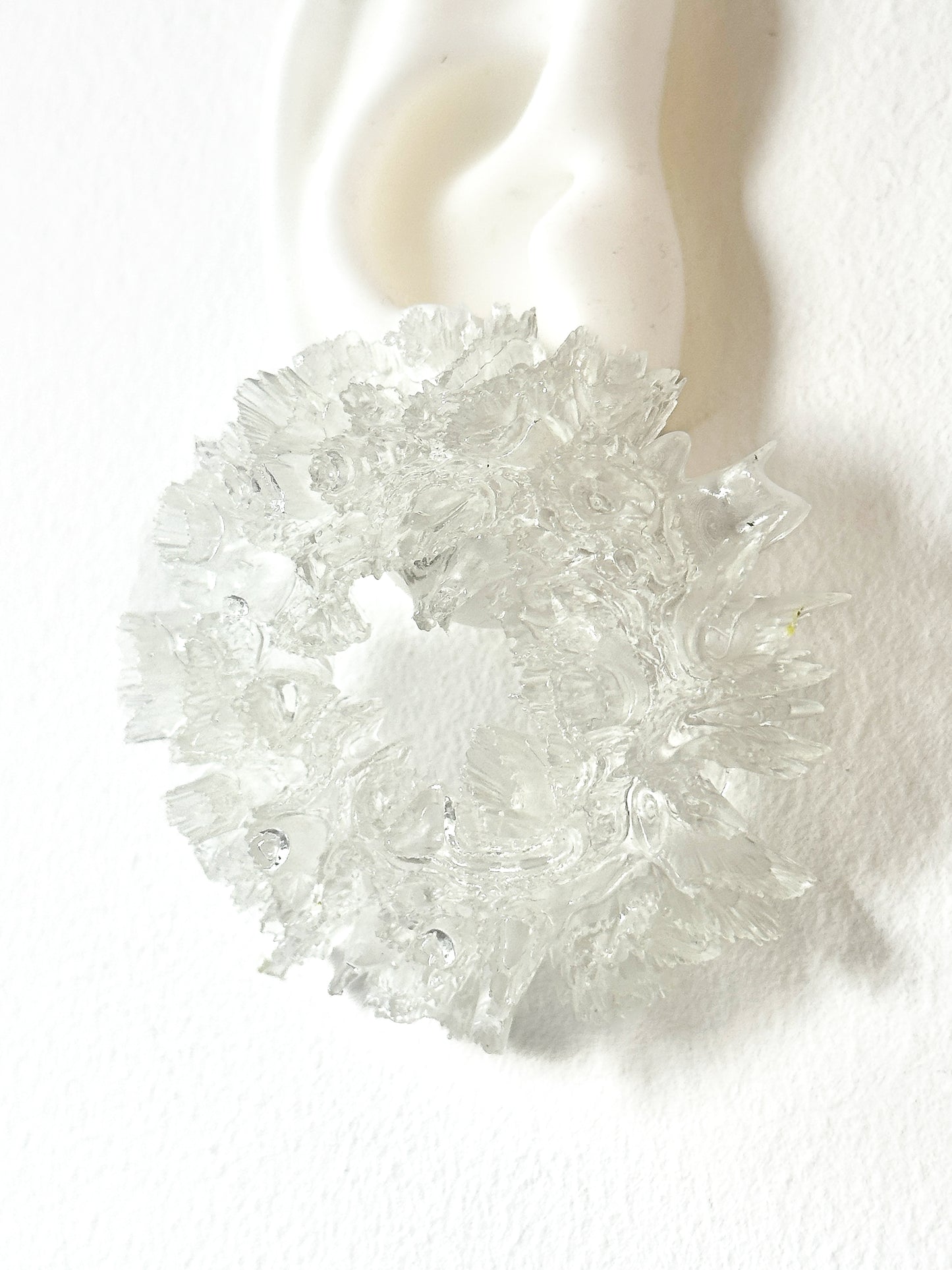 Coral Hydrangea - Clear