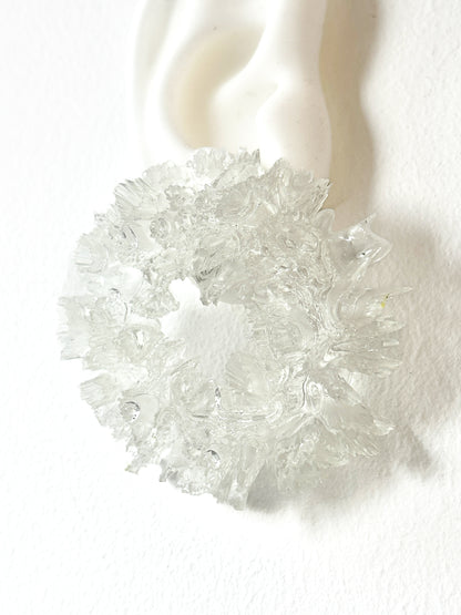 Coral Hydrangea - Clear