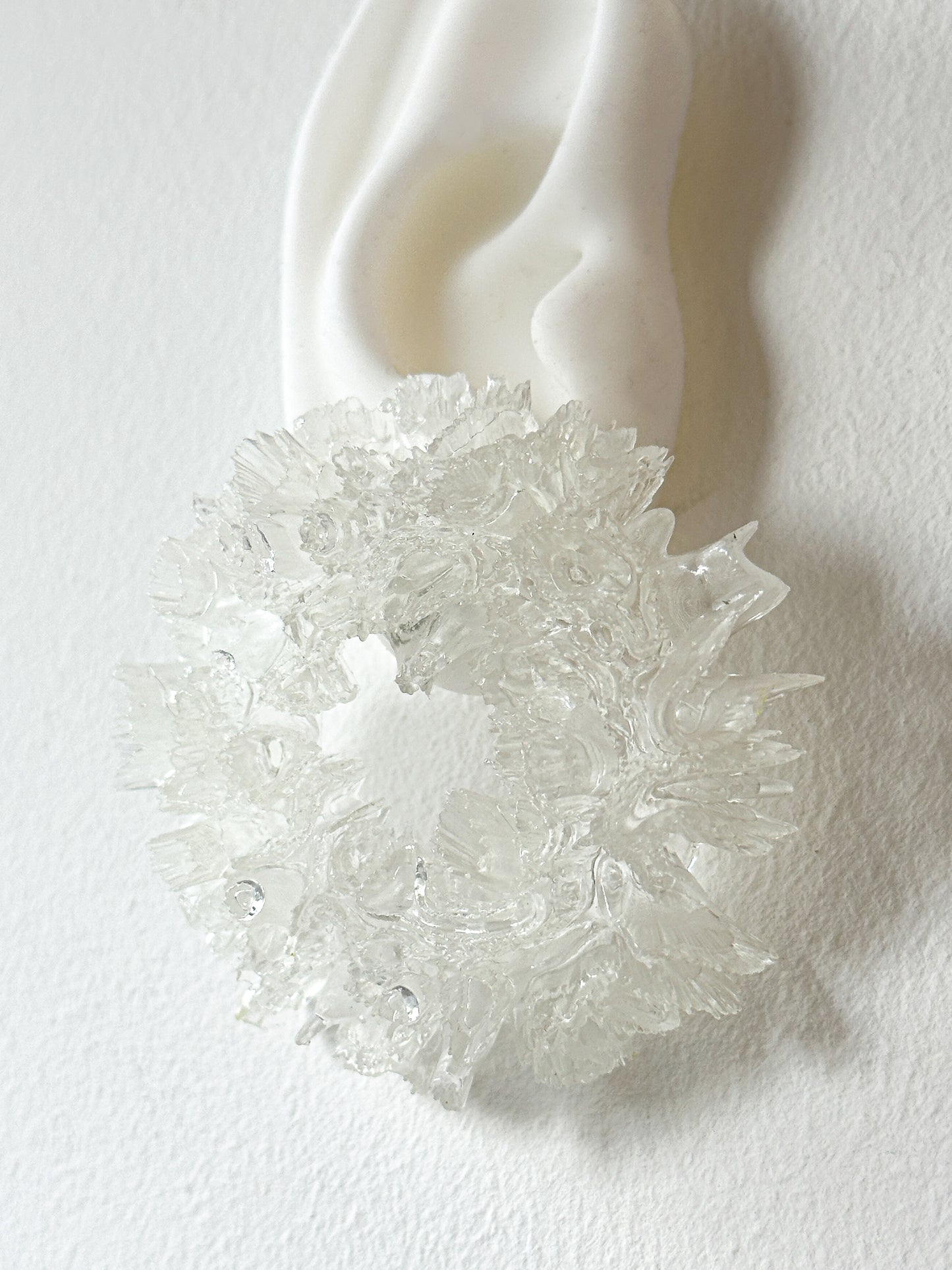 Coral Hydrangea - Clear