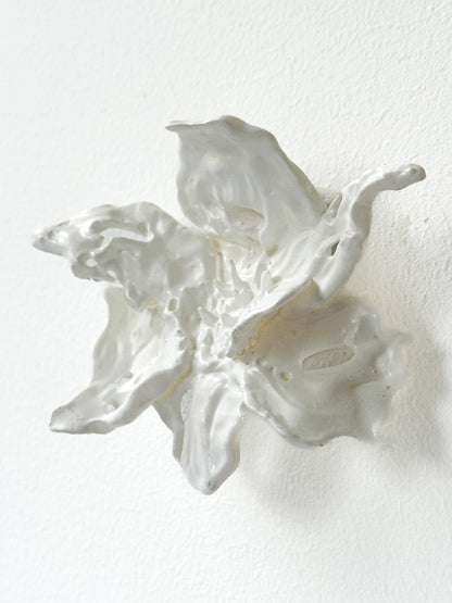 White Blossom Mega Flower Daffodils Earrings