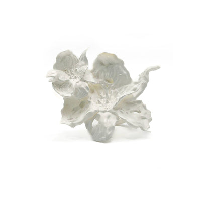 Daffodil Duo Flower Ring - White