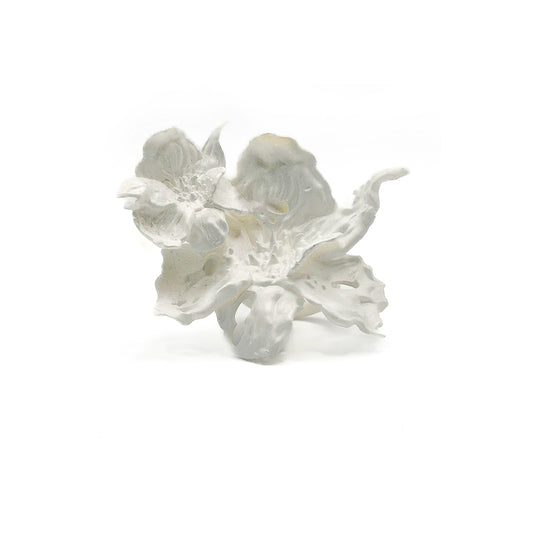 Daffodil Duo Flower Ring - White