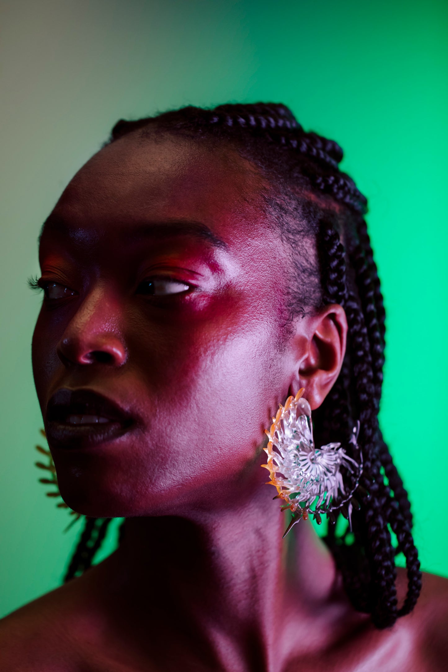 Botanic Elegy Hoop Earrings - Black & Orange