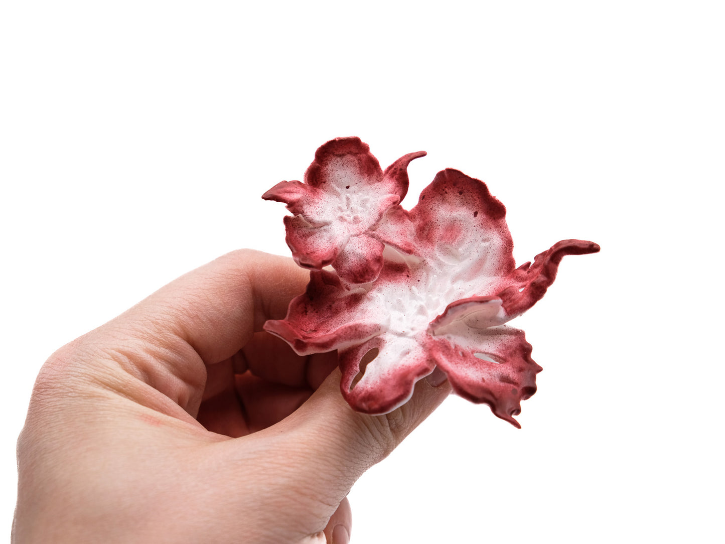 Daffodil Duo Flower Ring - Red Edge