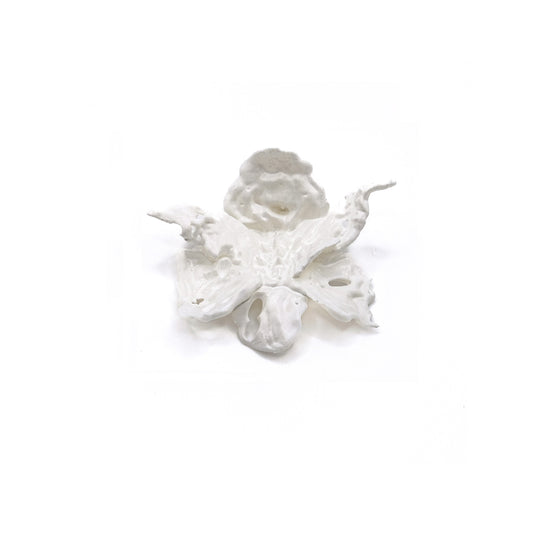 Daffodil Flower Ring Nº1 - White