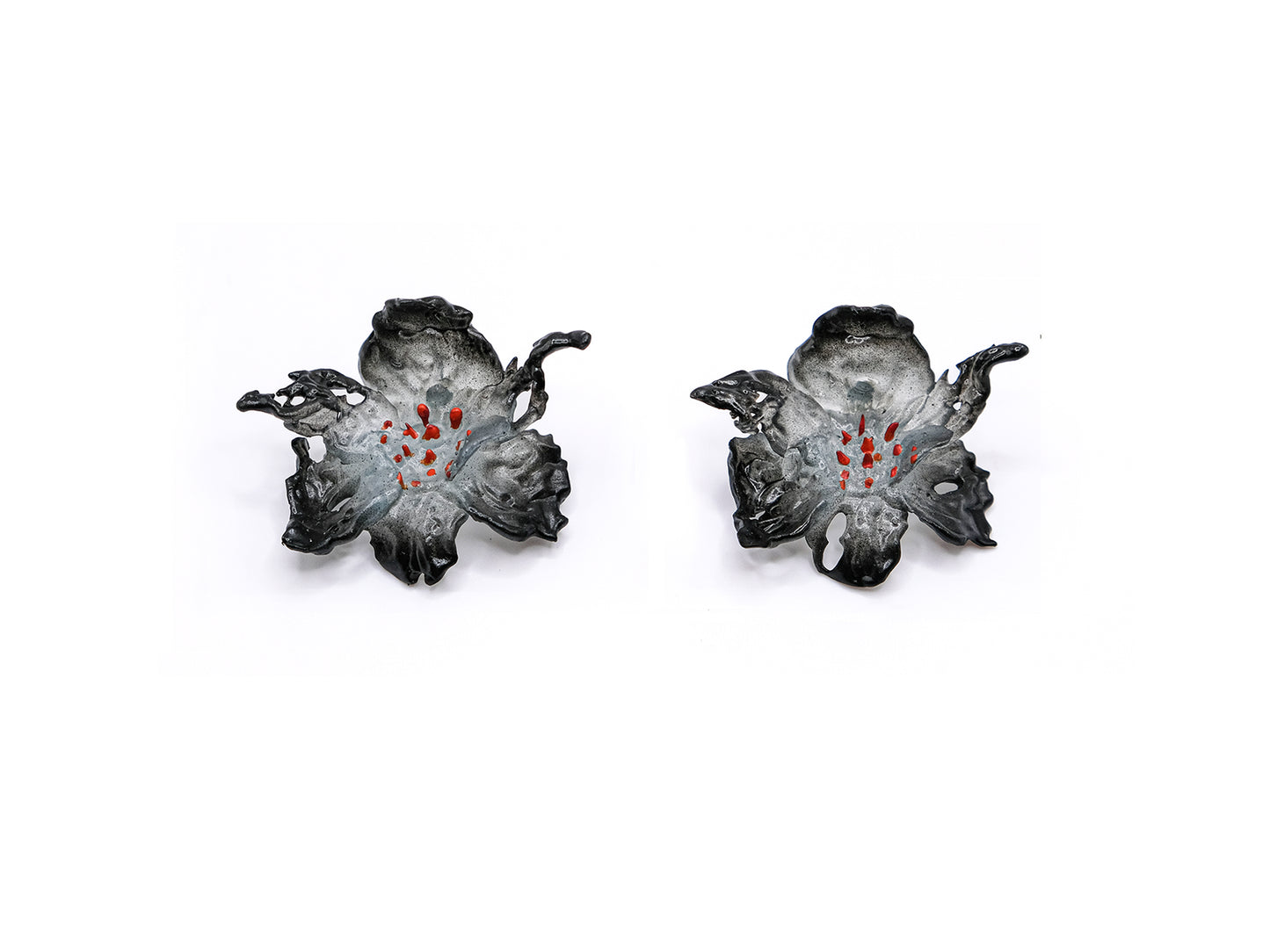 Regular Daffodils Earrings - Black Edge