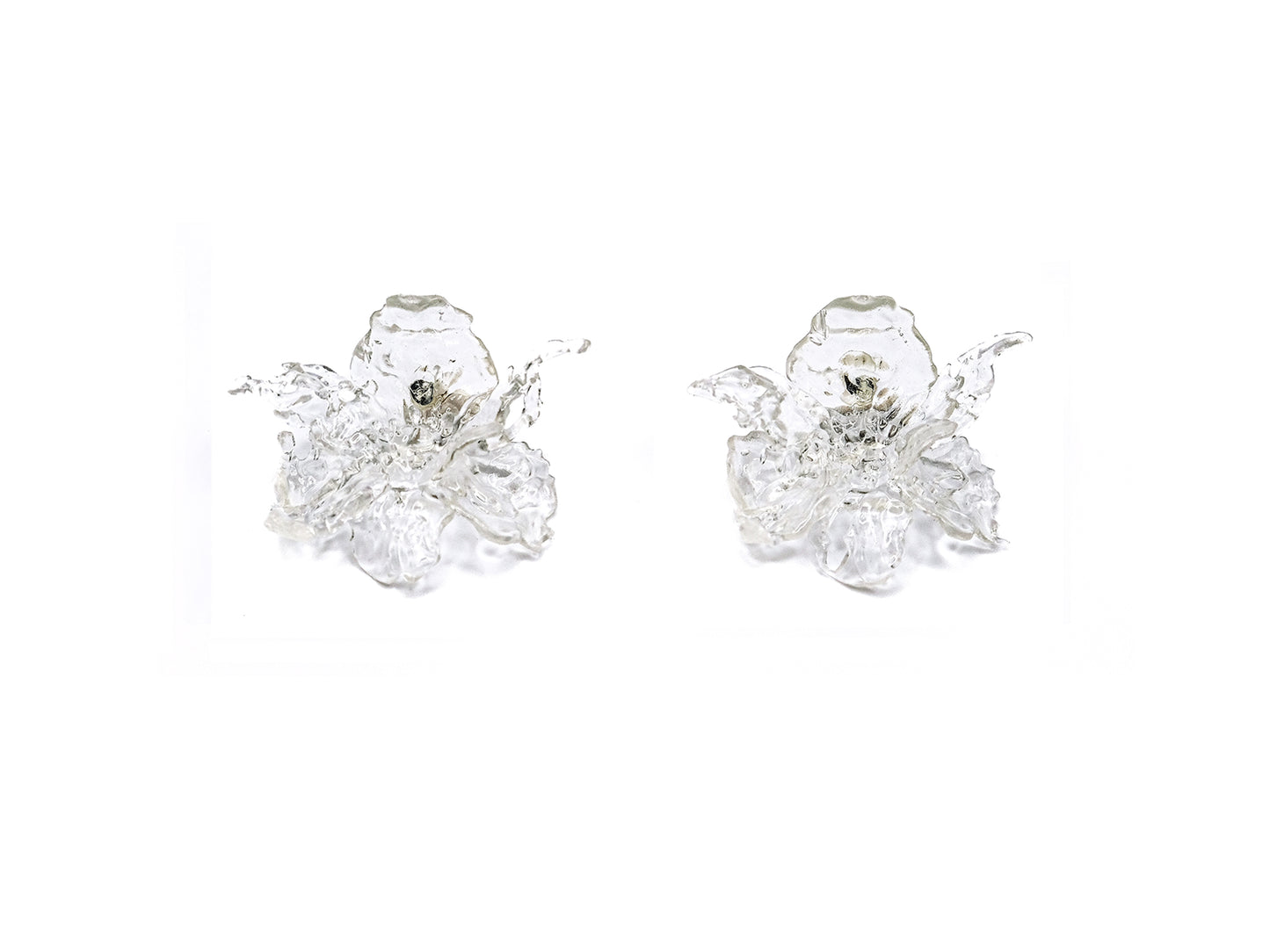 Regular Daffodils Earrings - Transparent