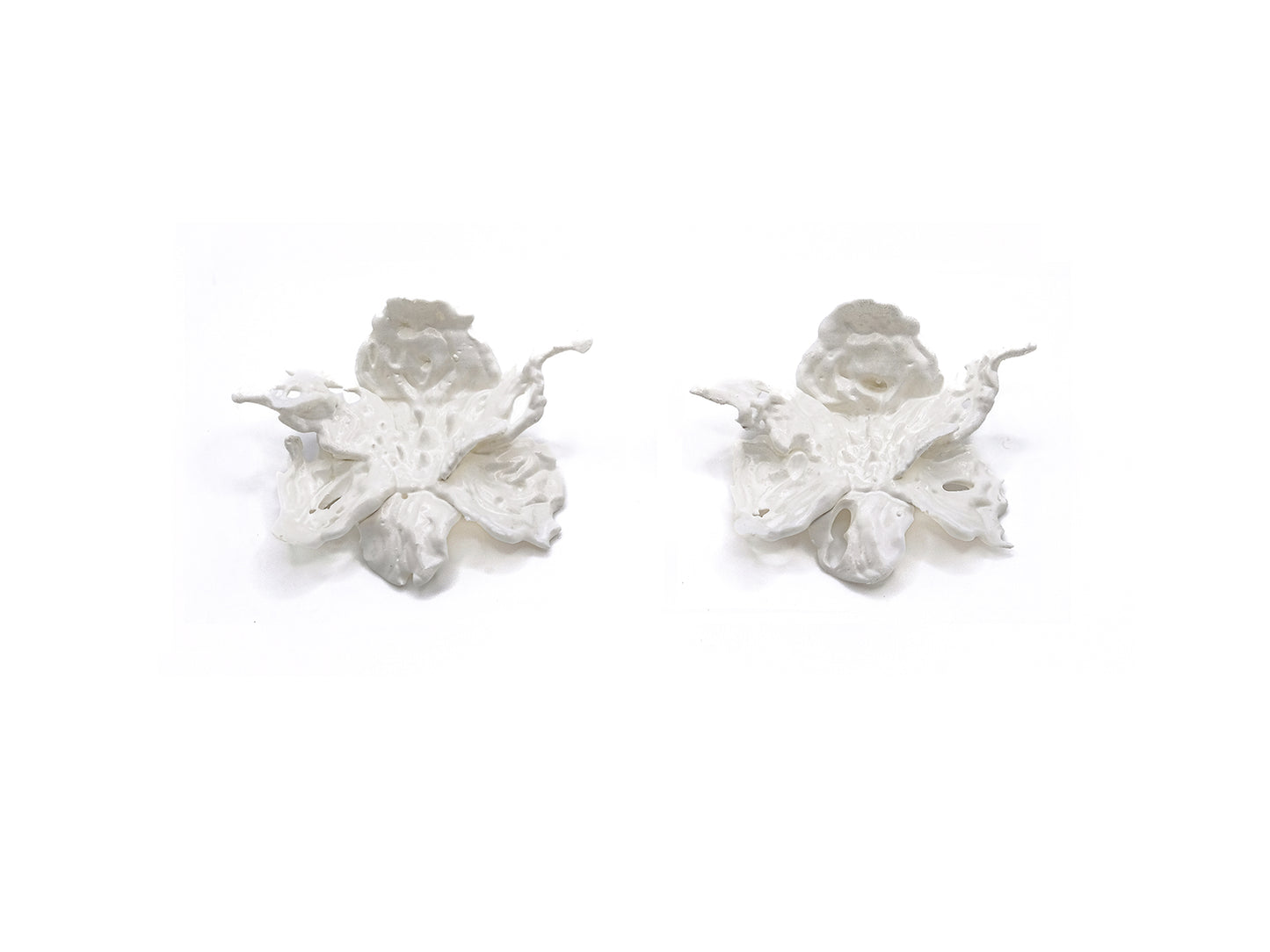 Regular Daffodils Earrings - White