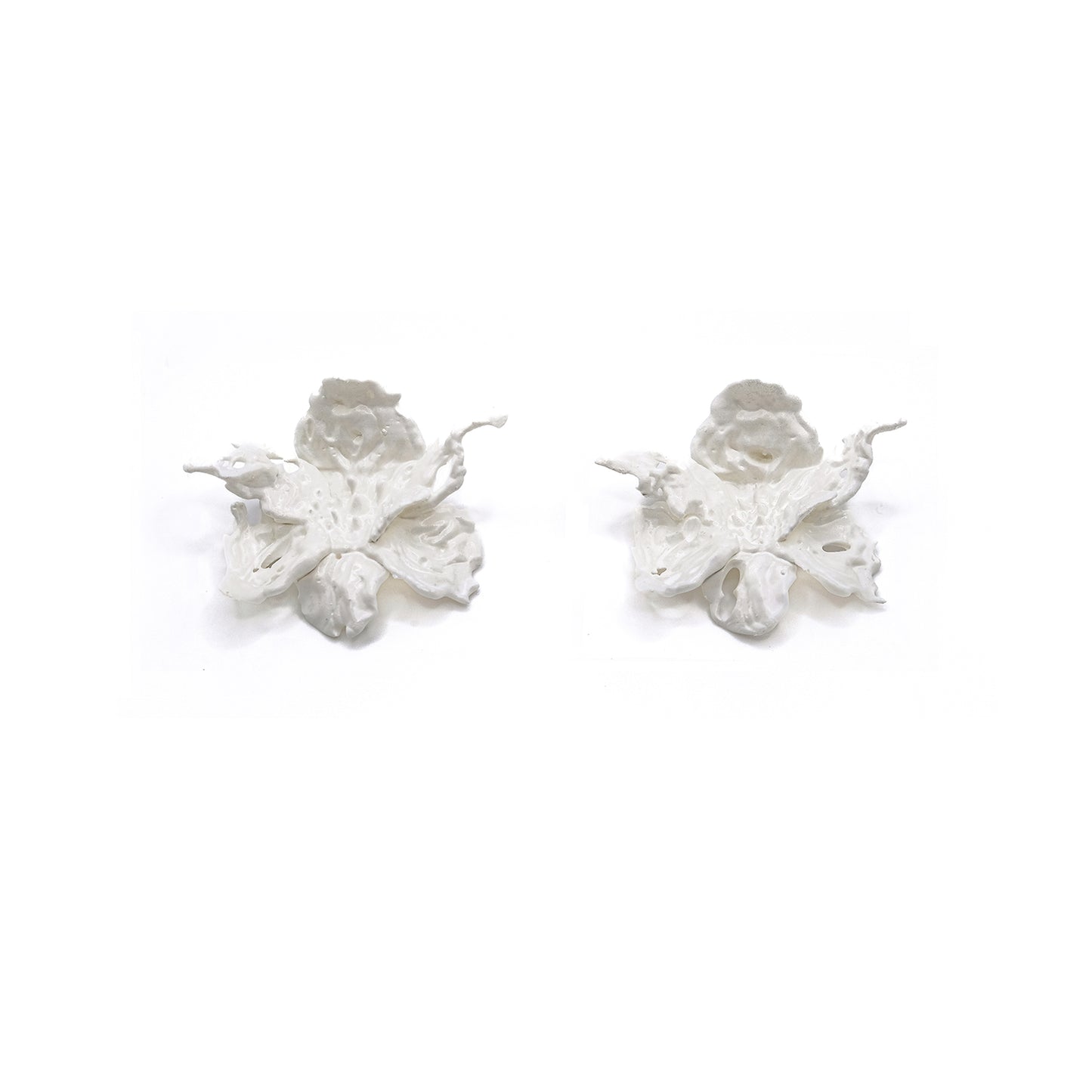 Regular Daffodils Blossom Earrings - White