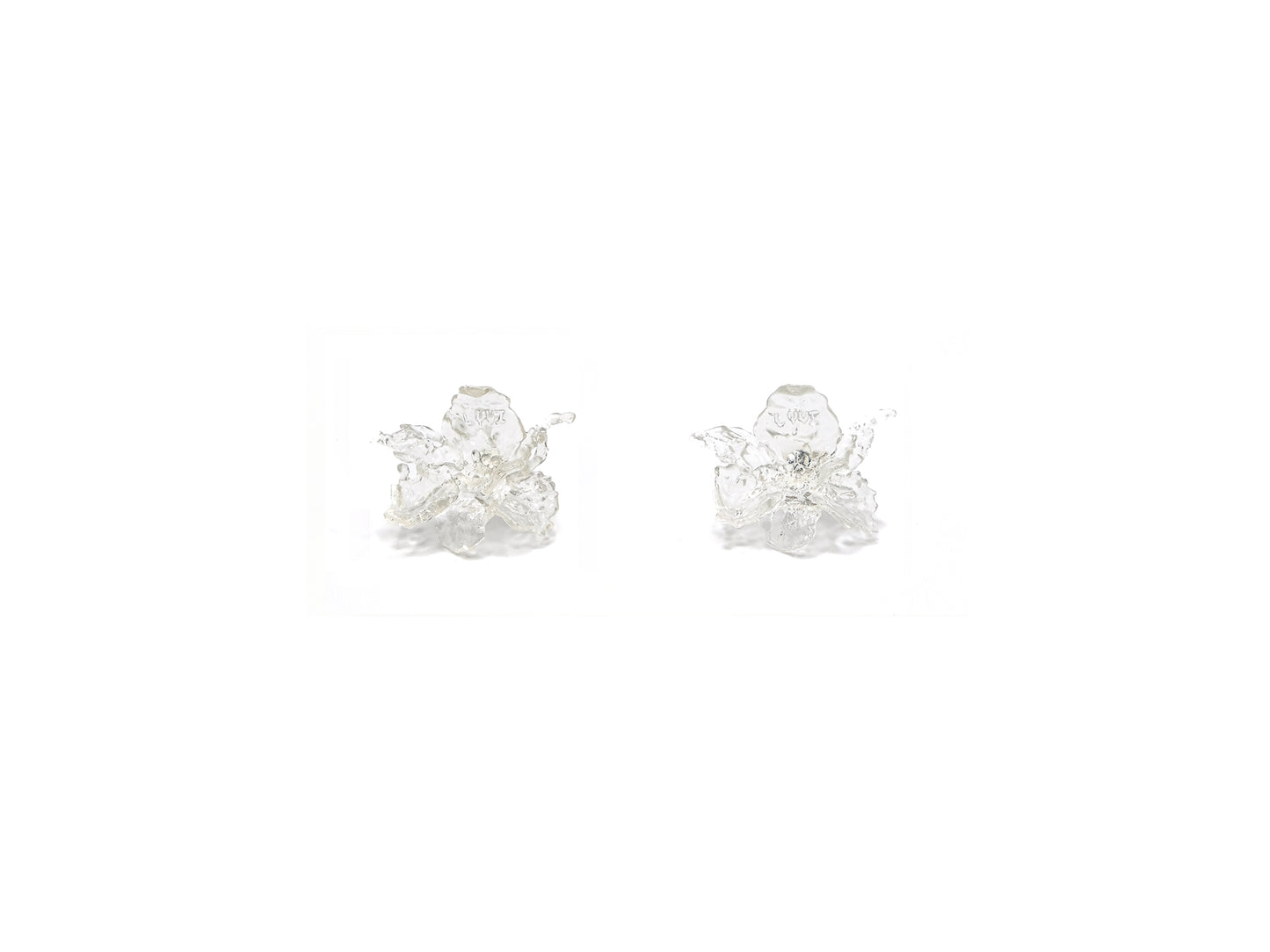 Mini Daffodils Earrings - Clear