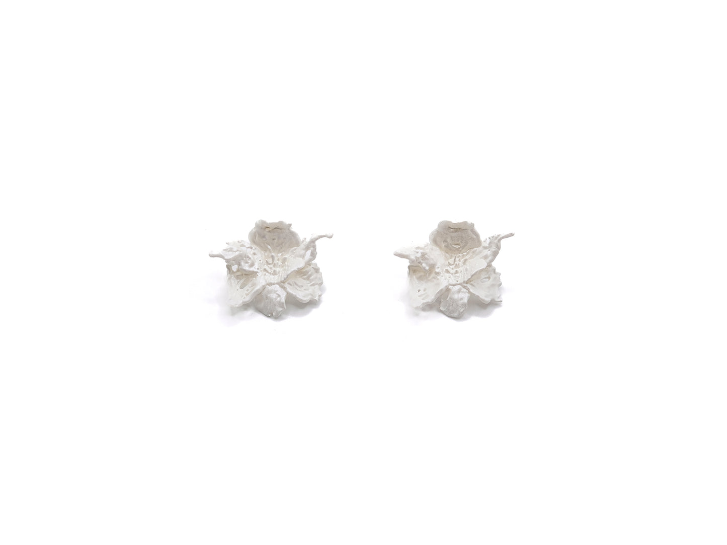 Mini Daffodils Earrings - White